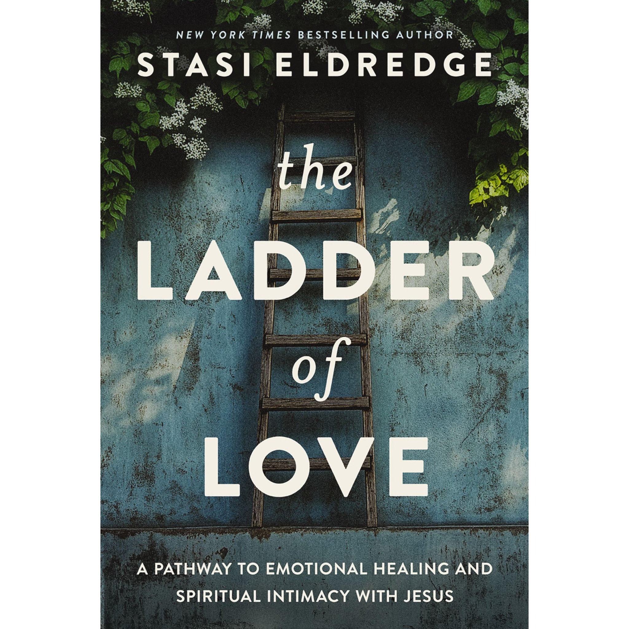 The Ladder of Love by Stasi Eldredge book cover